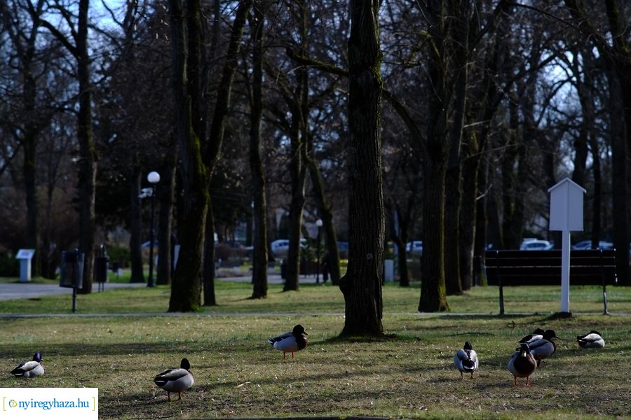 Sóstói pillanatok 20230317