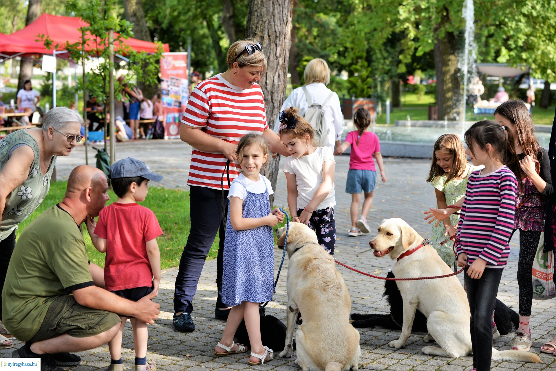 Sóstói Tánc Esték - júliusban minden csütörtökön a piac mellett