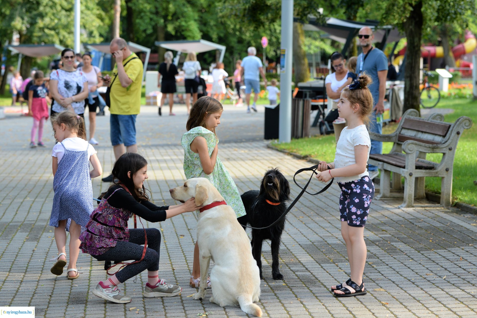 Sóstói Tánc Esték - júliusban minden csütörtökön a piac mellett
