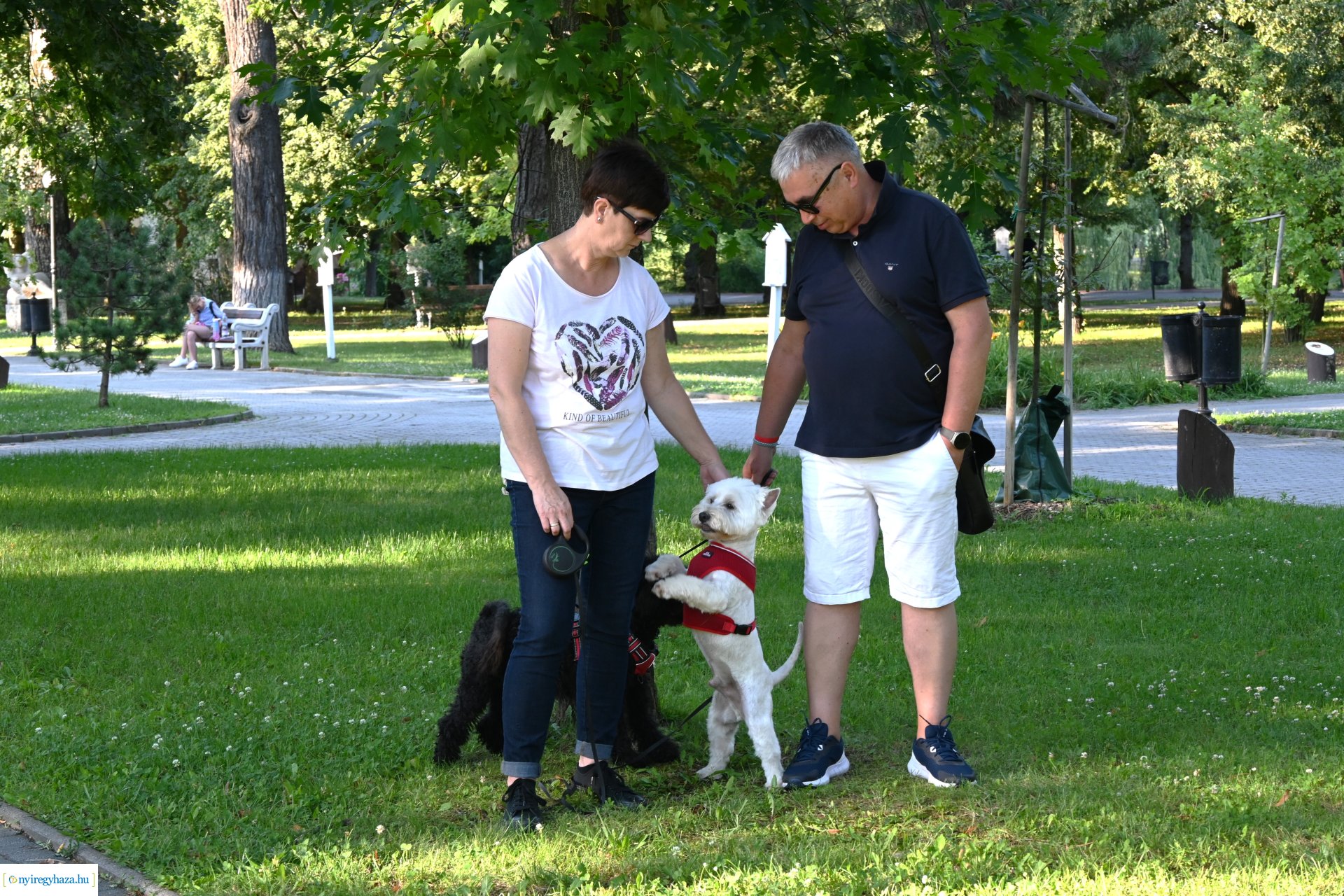 Sóstói táncesték - 07-04