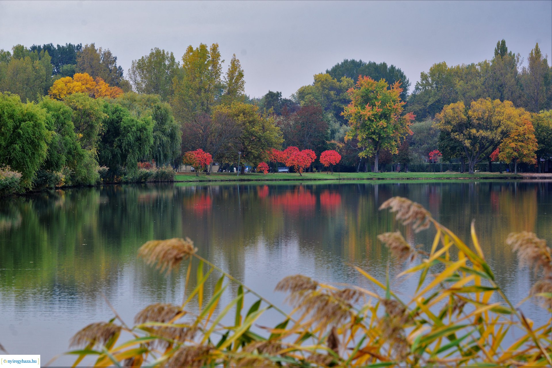 Sóstóra beköszöntött az ősz