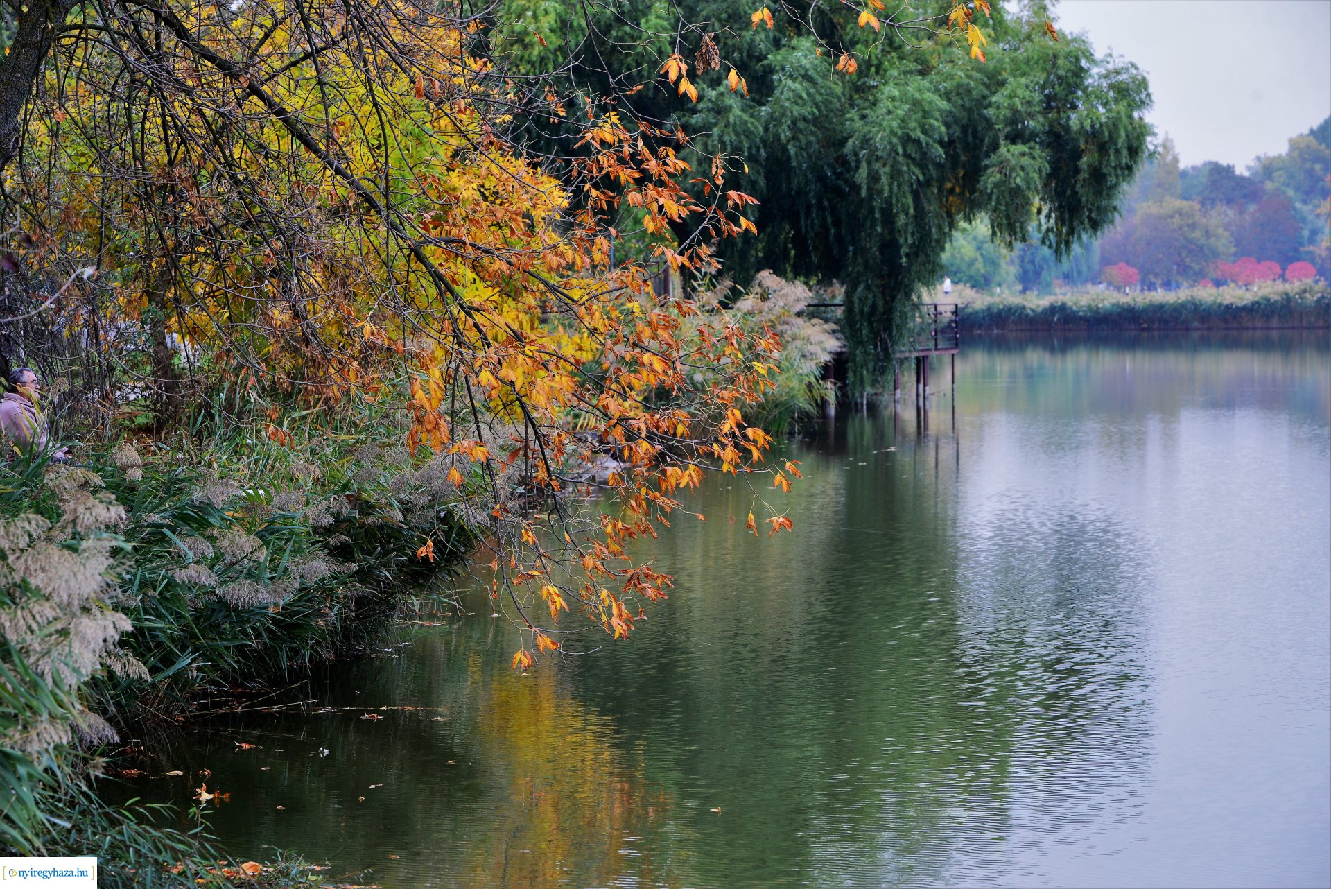 Sóstóra beköszöntött az ősz