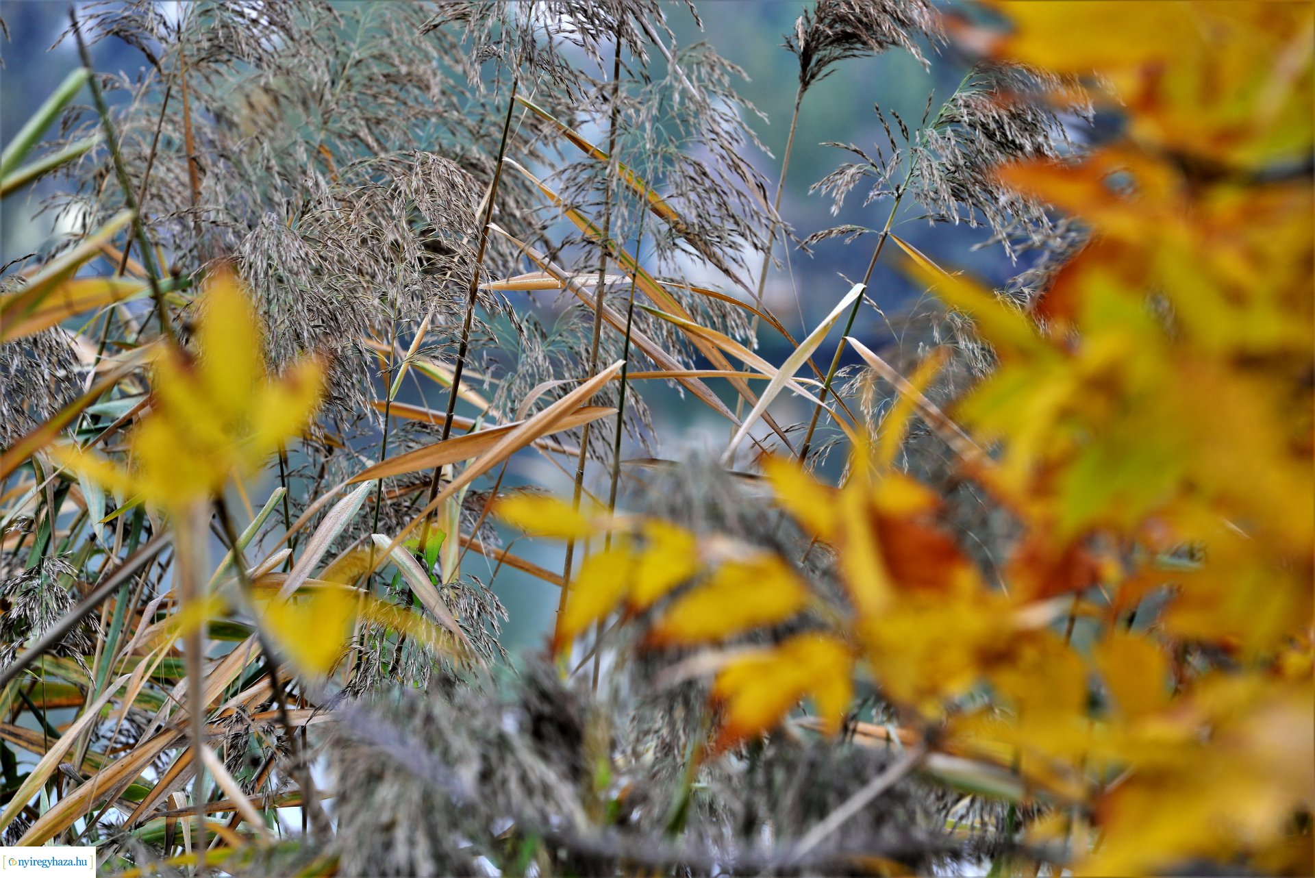 Sóstóra beköszöntött az ősz