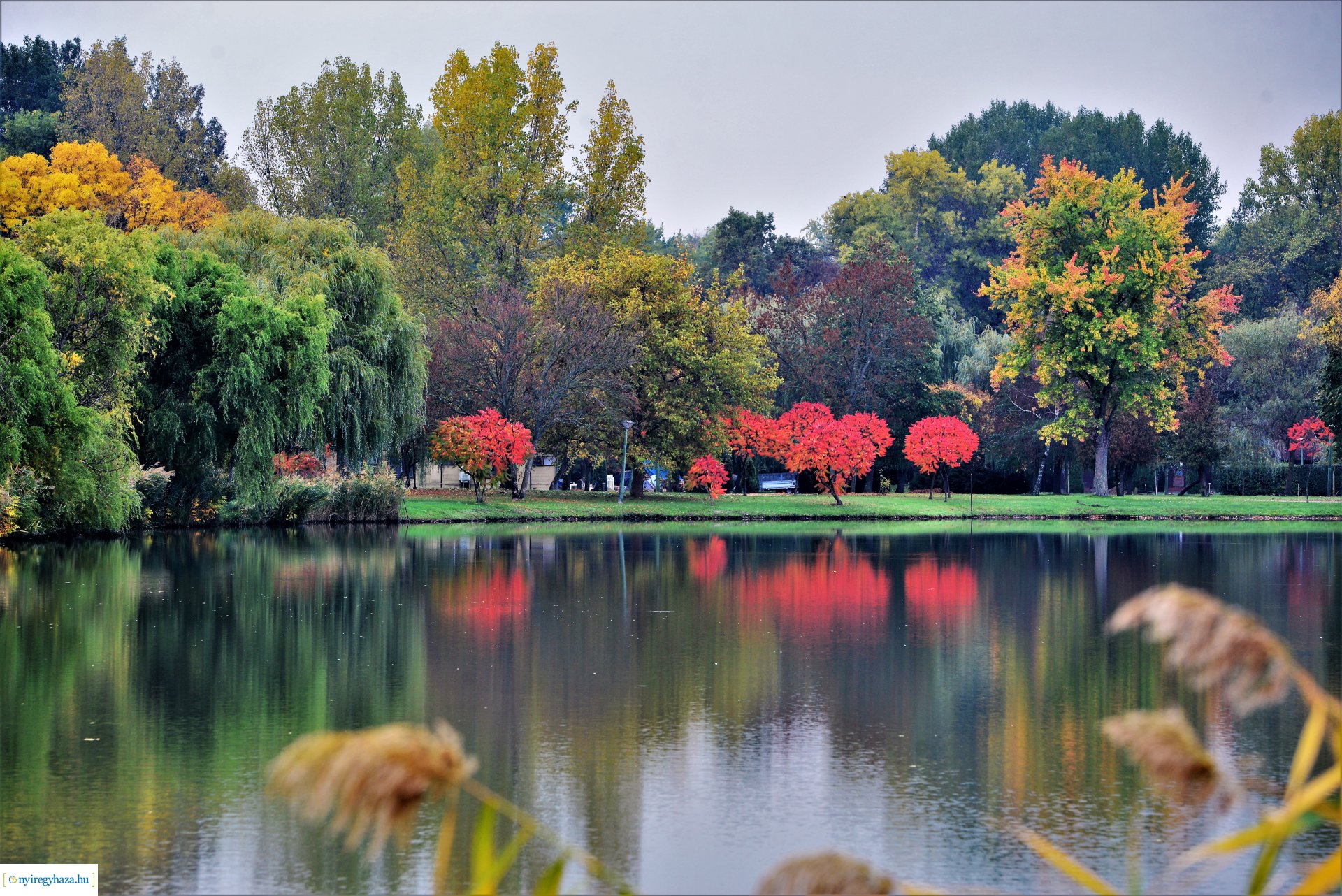 Sóstóra beköszöntött az ősz