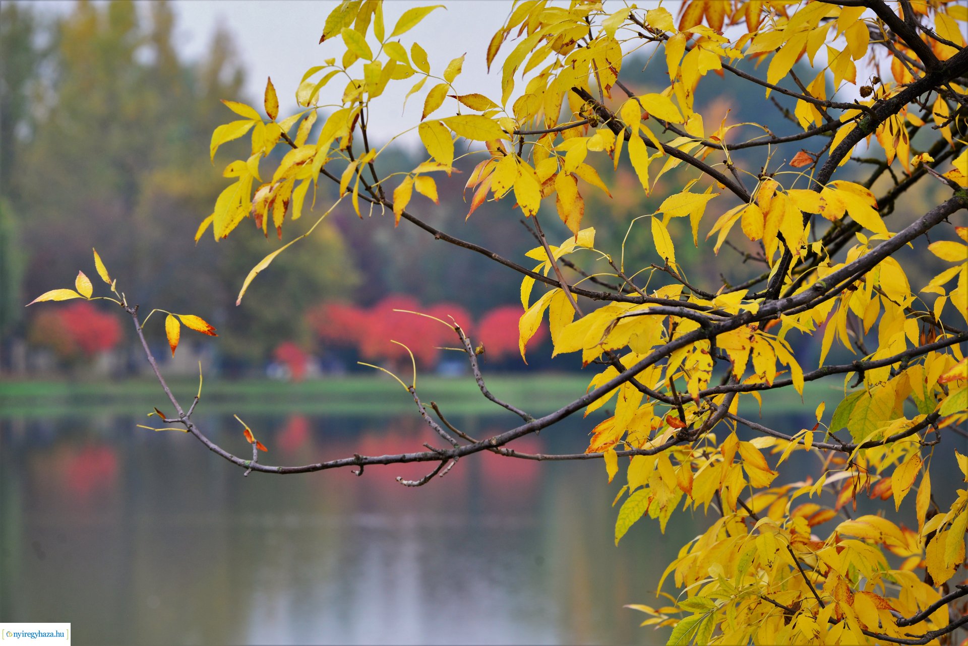 Sóstóra beköszöntött az ősz