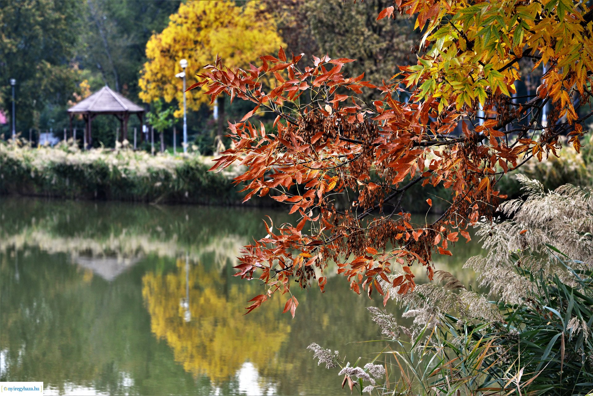 Sóstóra beköszöntött az ősz