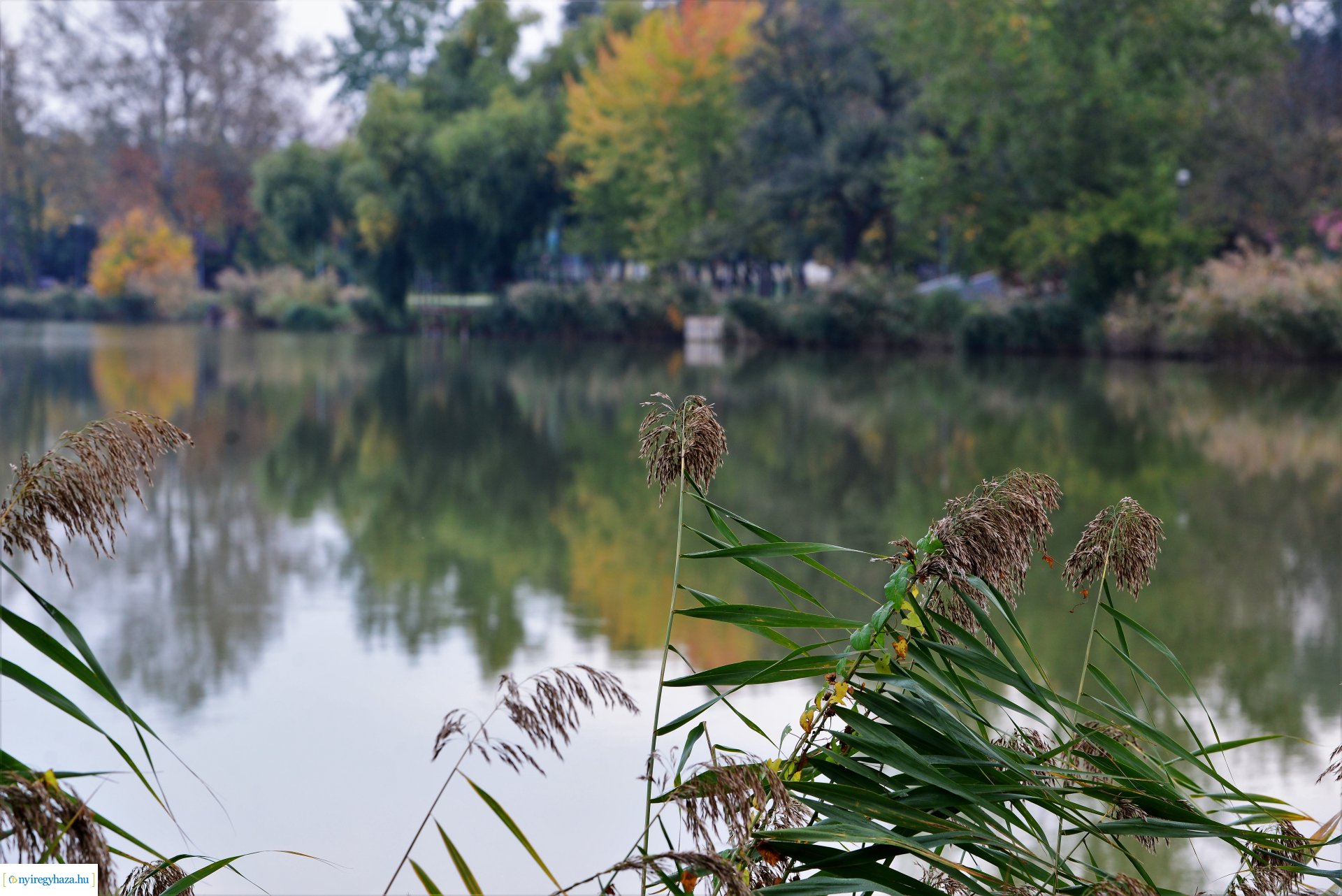 Sóstóra beköszöntött az ősz