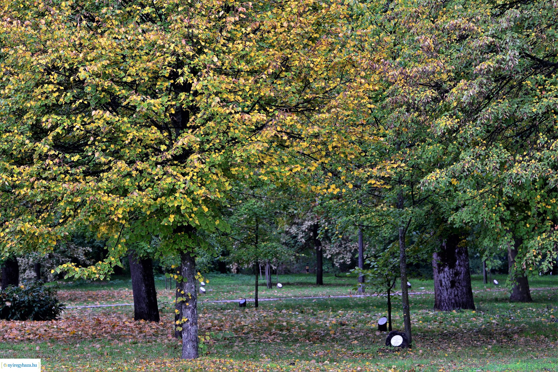 Sóstóra beköszöntött az ősz