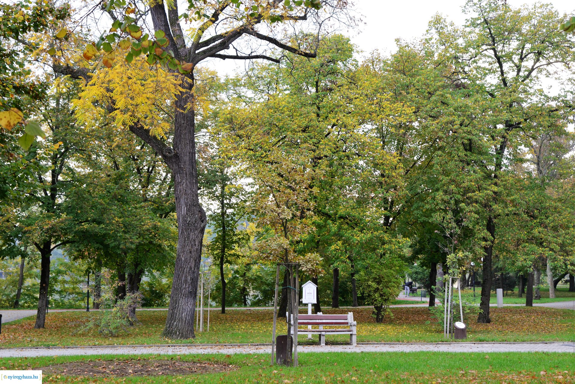 Sóstóra beköszöntött az ősz