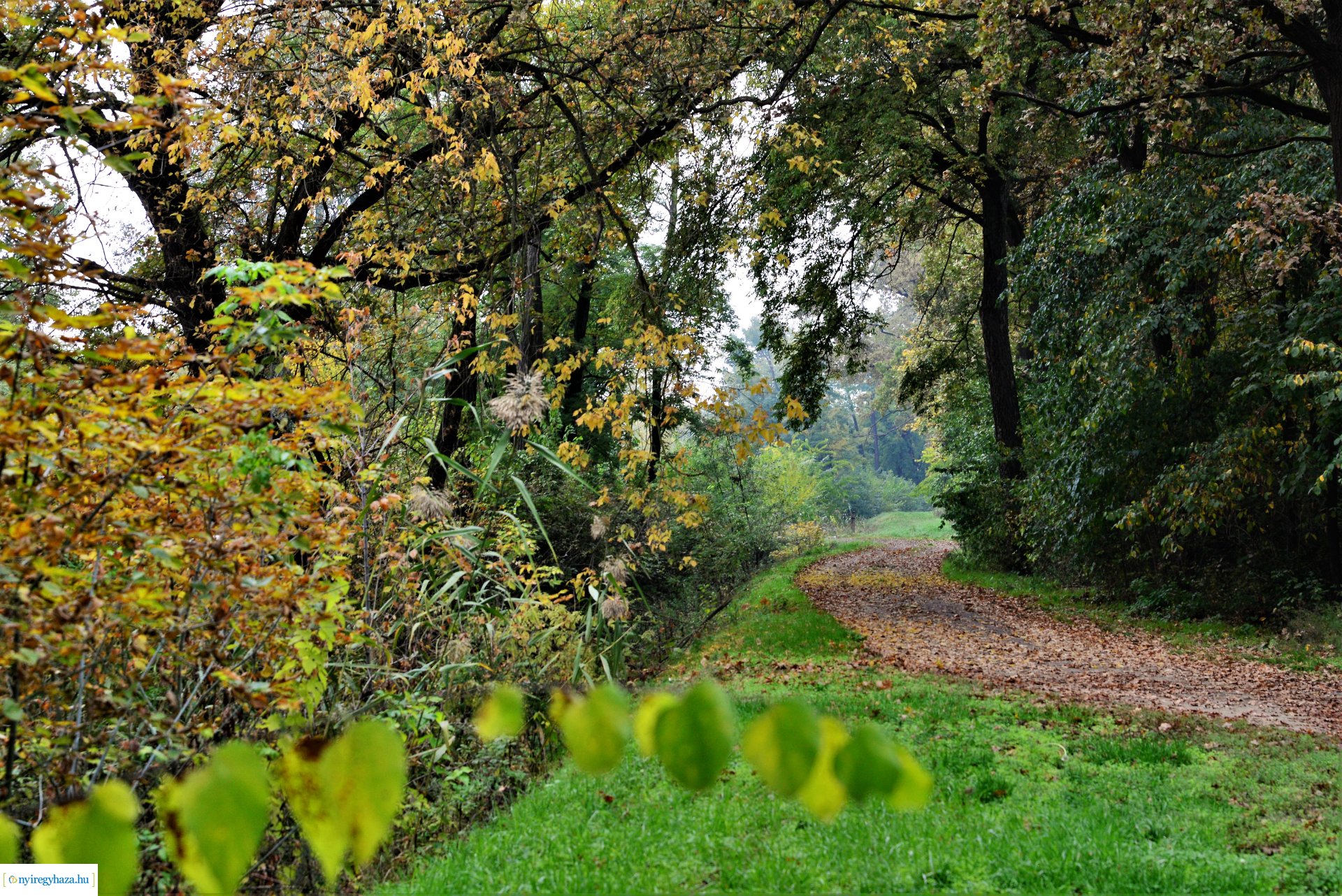 Sóstóra beköszöntött az ősz