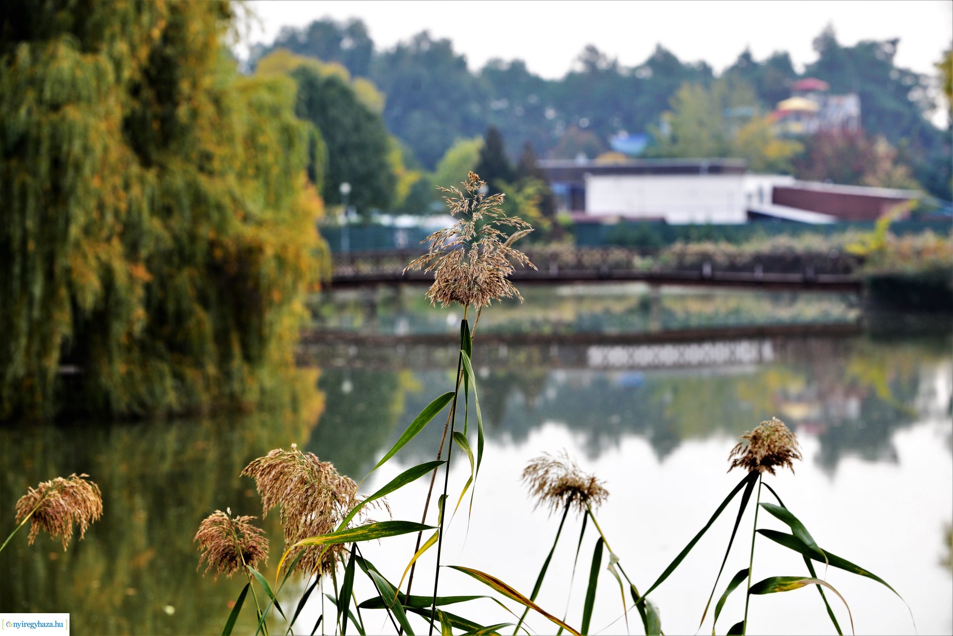 Sóstóra beköszöntött az ősz