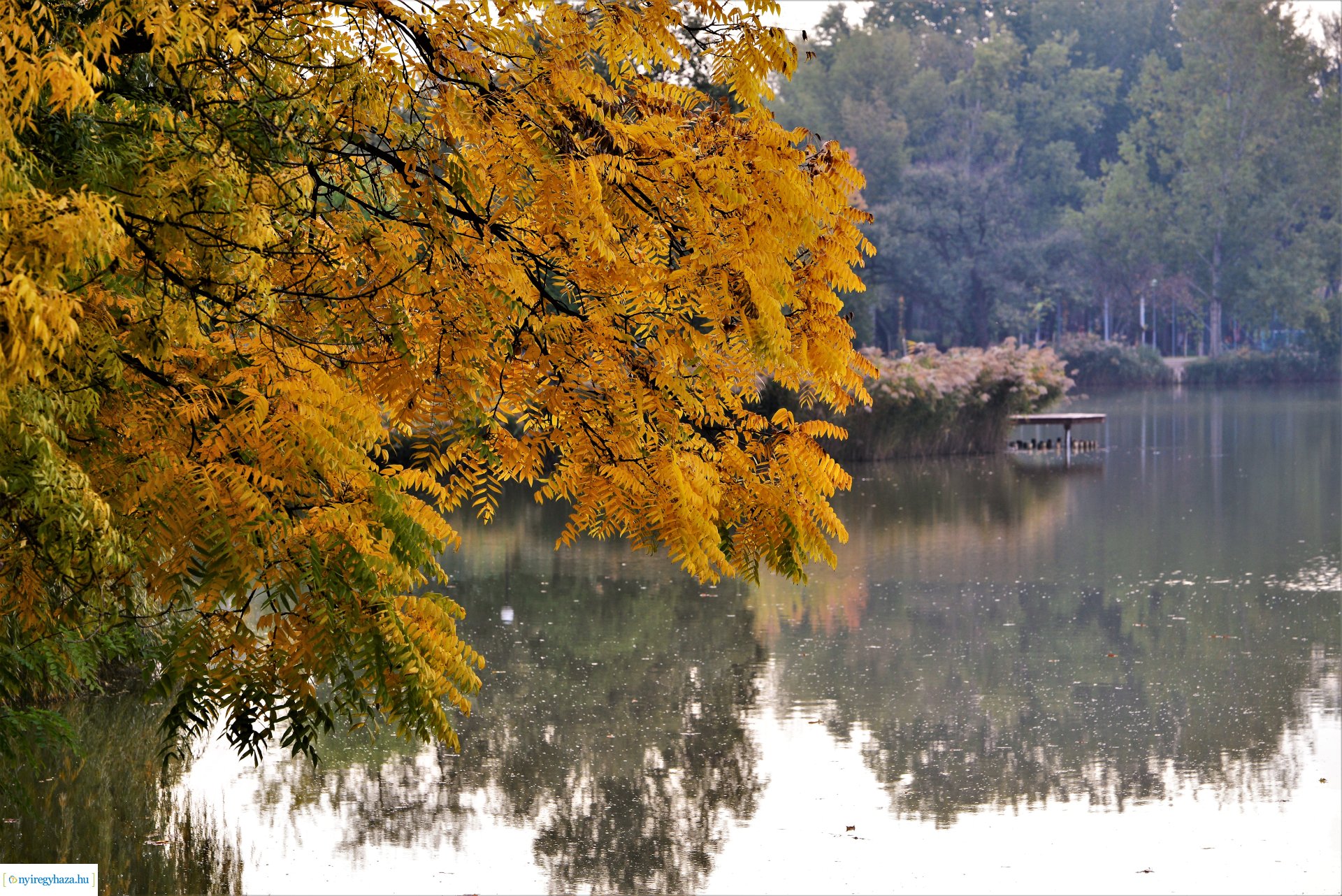 Sóstóra beköszöntött az ősz