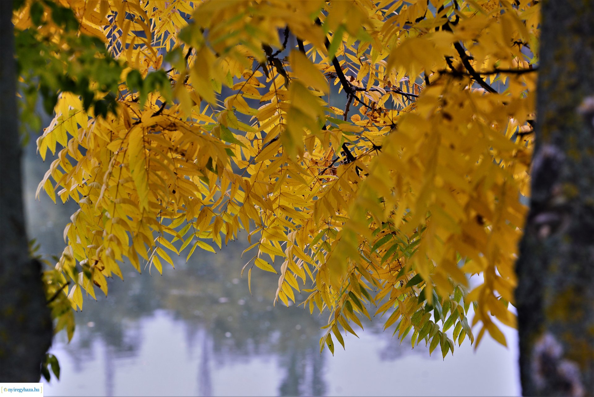 Sóstóra beköszöntött az ősz
