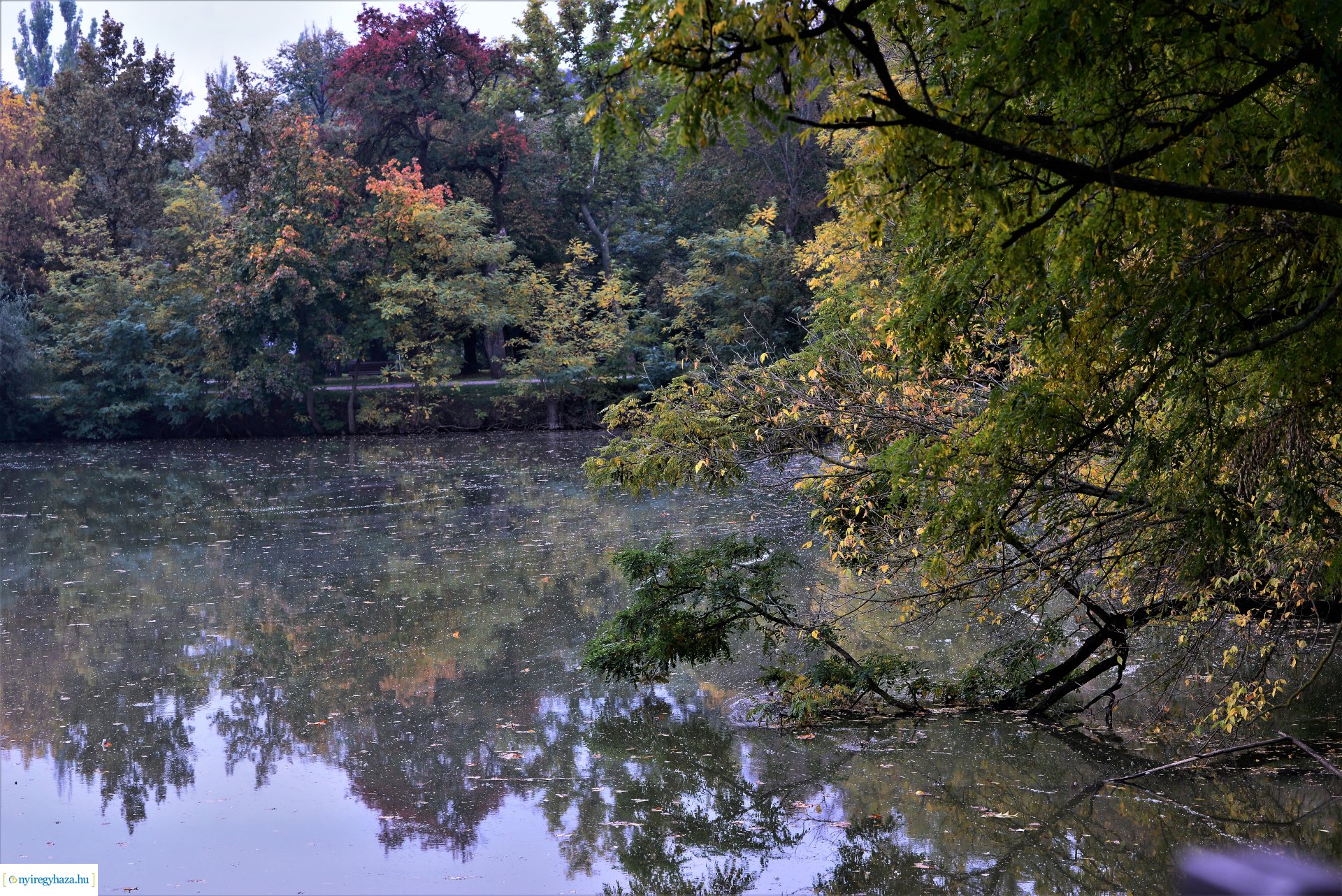 Sóstóra beköszöntött az ősz