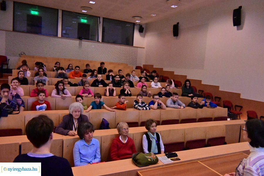 SóstóZoo kulisszatitkai