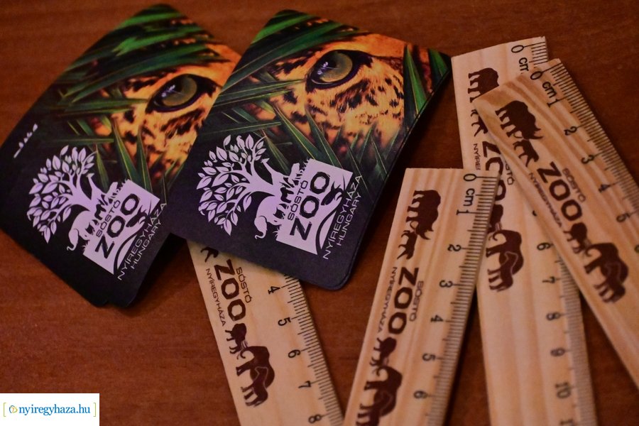 SóstóZoo kulisszatitkai