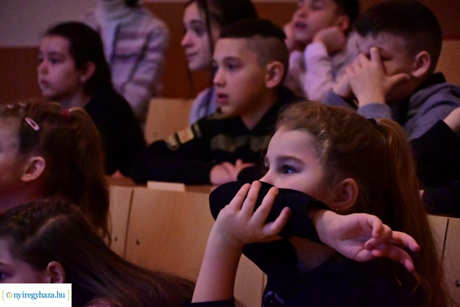 SóstóZoo kulisszatitkai