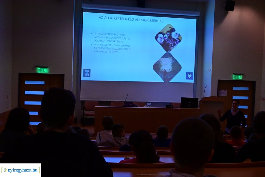 SóstóZoo kulisszatitkai