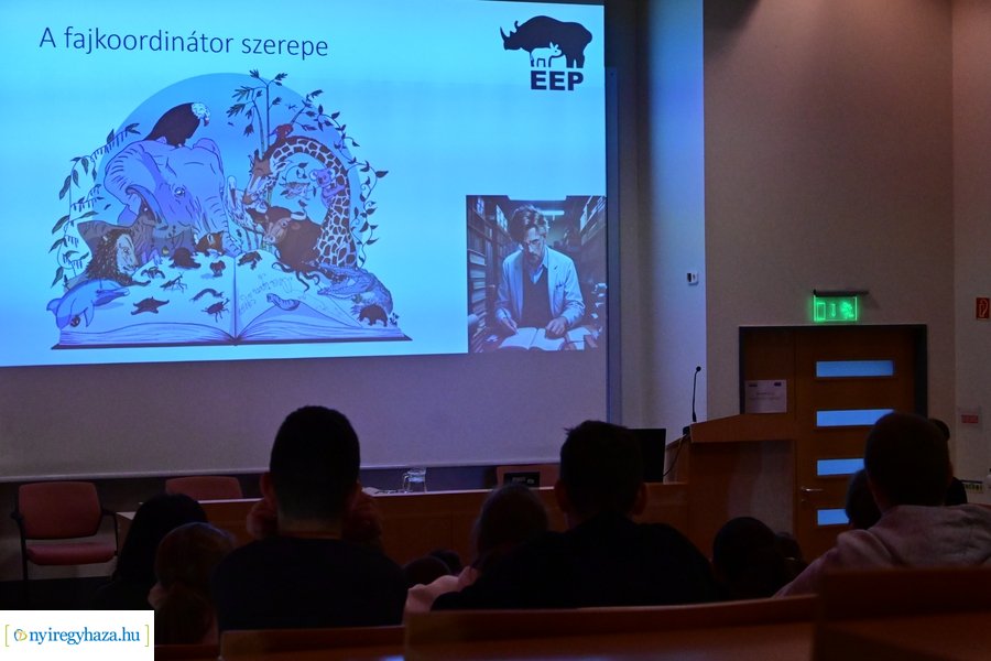 SóstóZoo kulisszatitkai