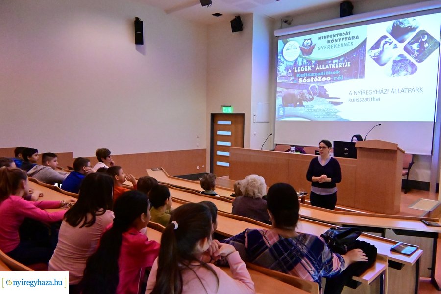 SóstóZoo kulisszatitkai