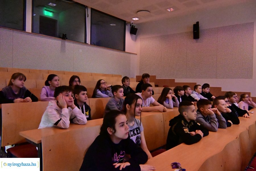 SóstóZoo kulisszatitkai