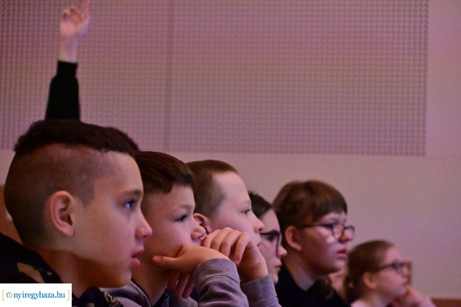 SóstóZoo kulisszatitkai