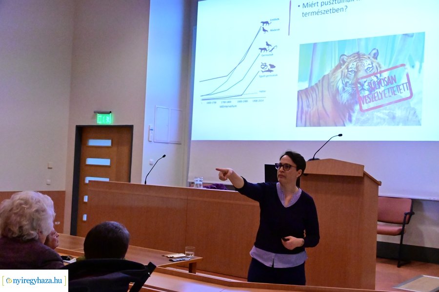 SóstóZoo kulisszatitkai