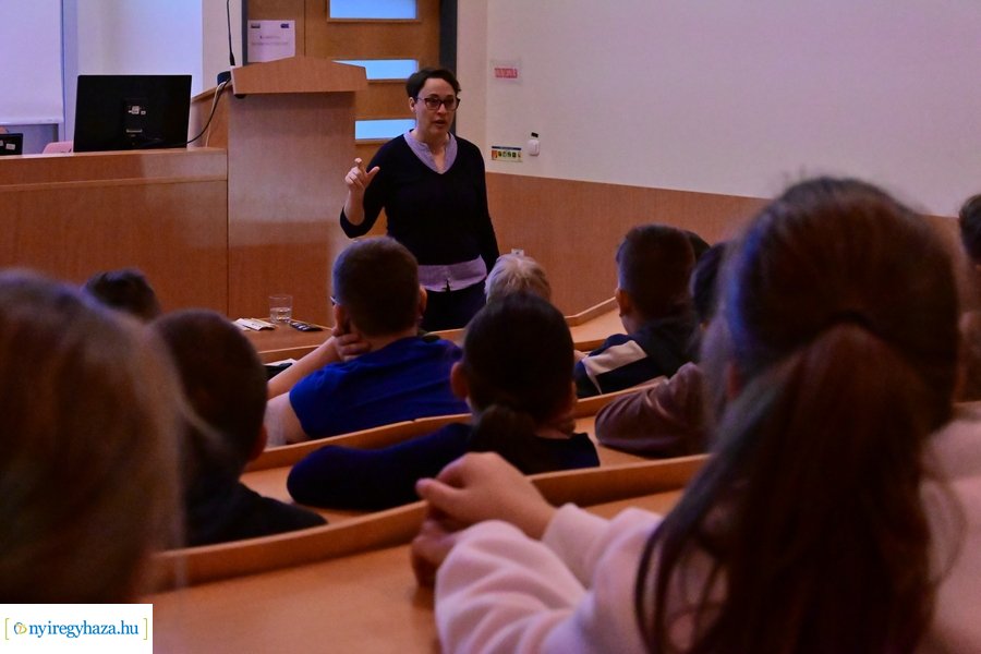 SóstóZoo kulisszatitkai