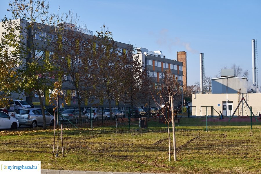 Sövénylabirintus átadó a kórházban