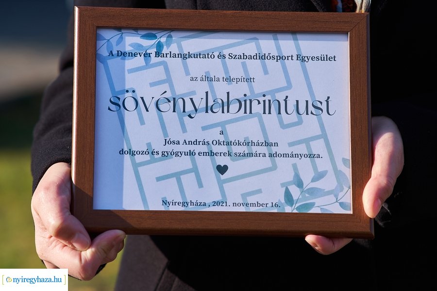 Sövénylabirintus átadó a kórházban