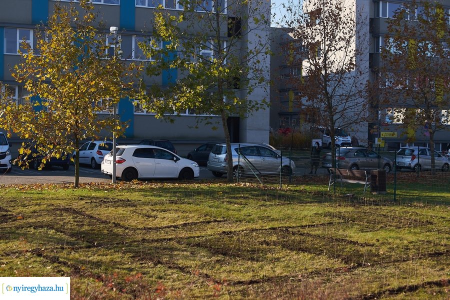 Sövénylabirintus átadó a kórházban