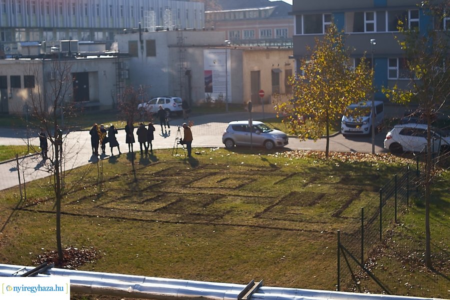 Sövénylabirintus átadó a kórházban