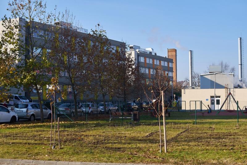 Sövénylabirintus átadó a kórházban