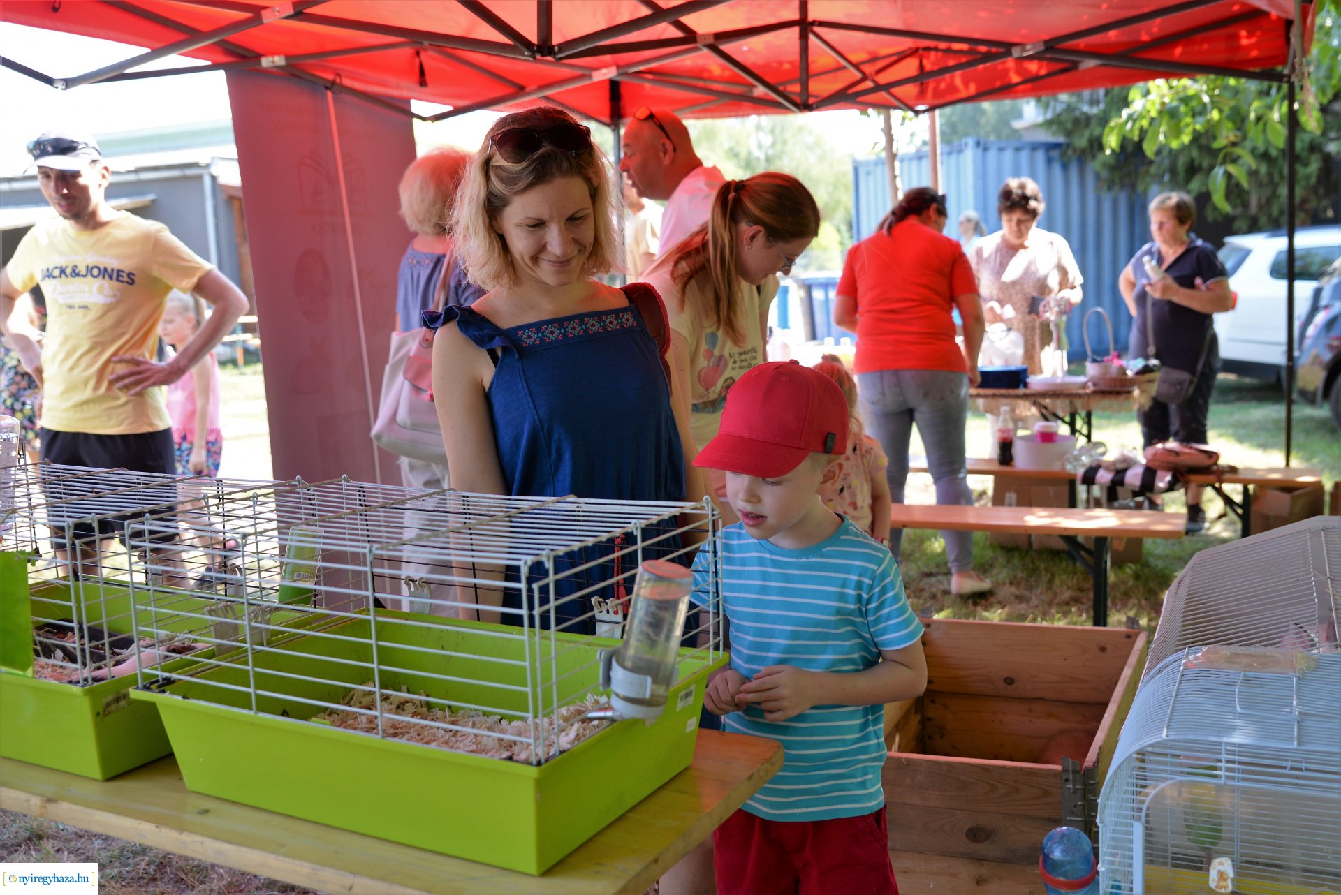 Sport és Családi Nap Sóstógyógyfürdőn