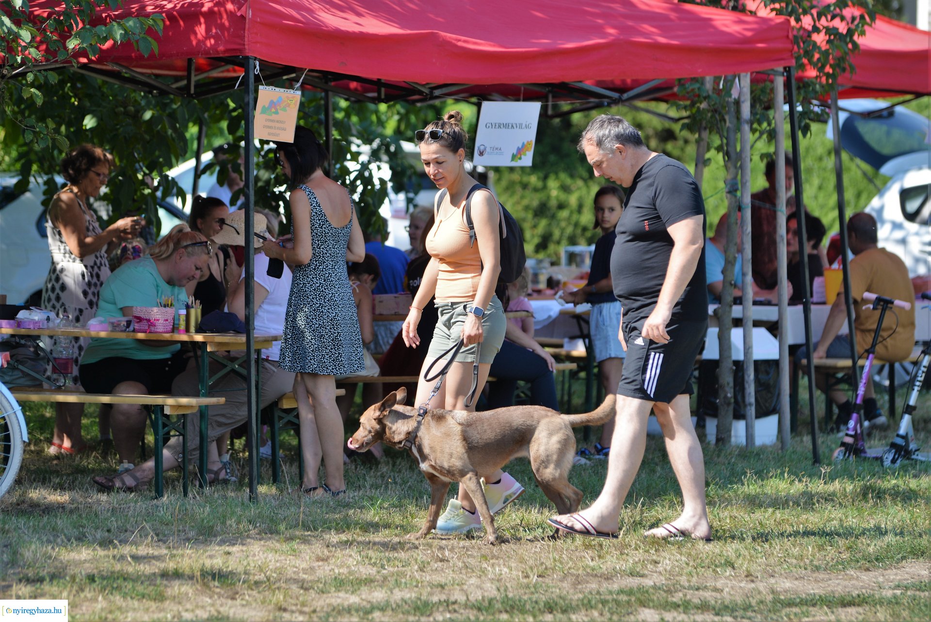 Sport és Családi Nap Sóstógyógyfürdőn
