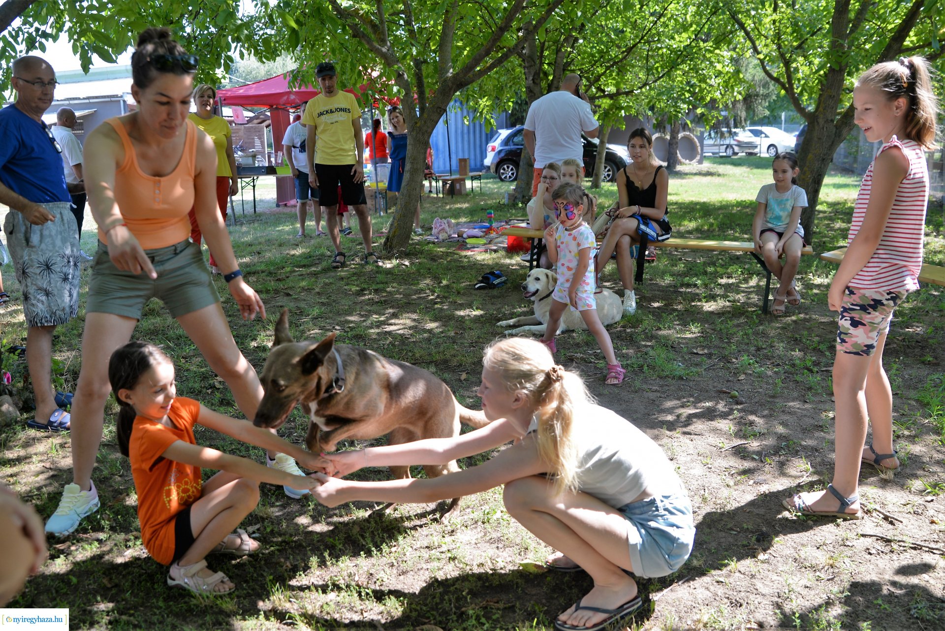 Sport és Családi Nap Sóstógyógyfürdőn