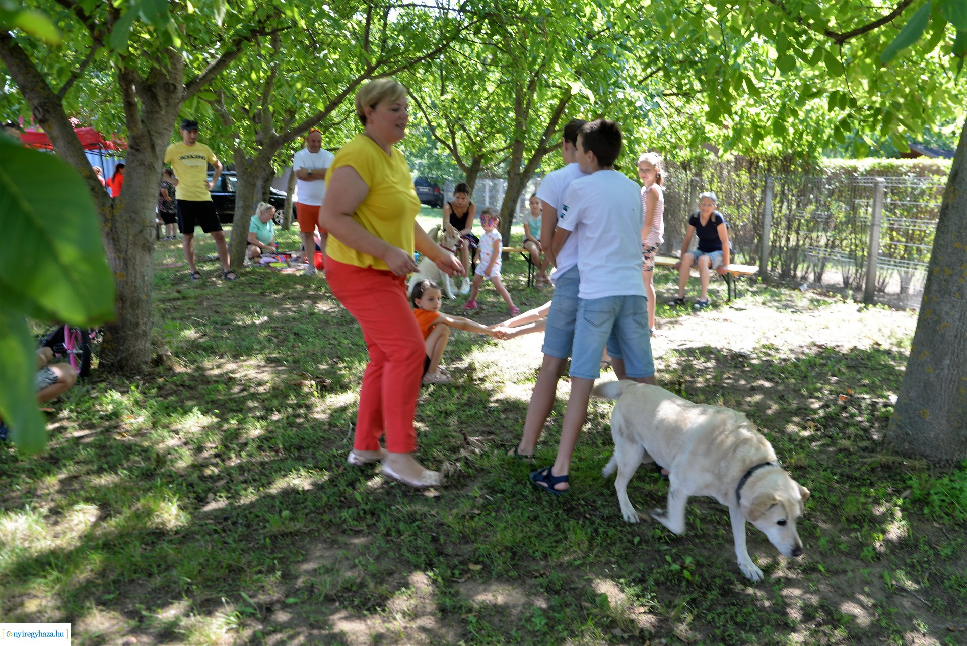 Sport és Családi Nap Sóstógyógyfürdőn