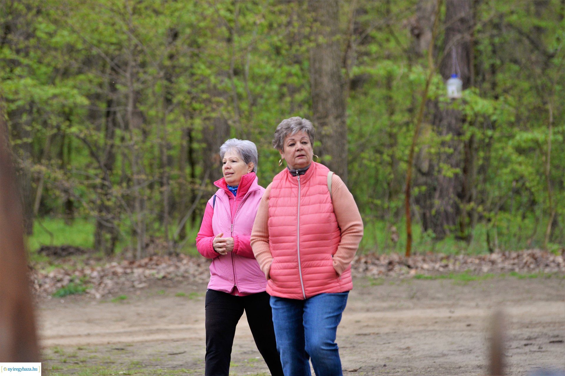 Sport és Élmény délelőtt az Erdei tornapályán