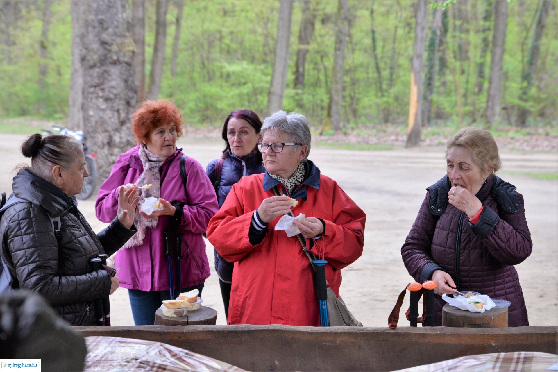 Sport és Élmény délelőtt az Erdei tornapályán
