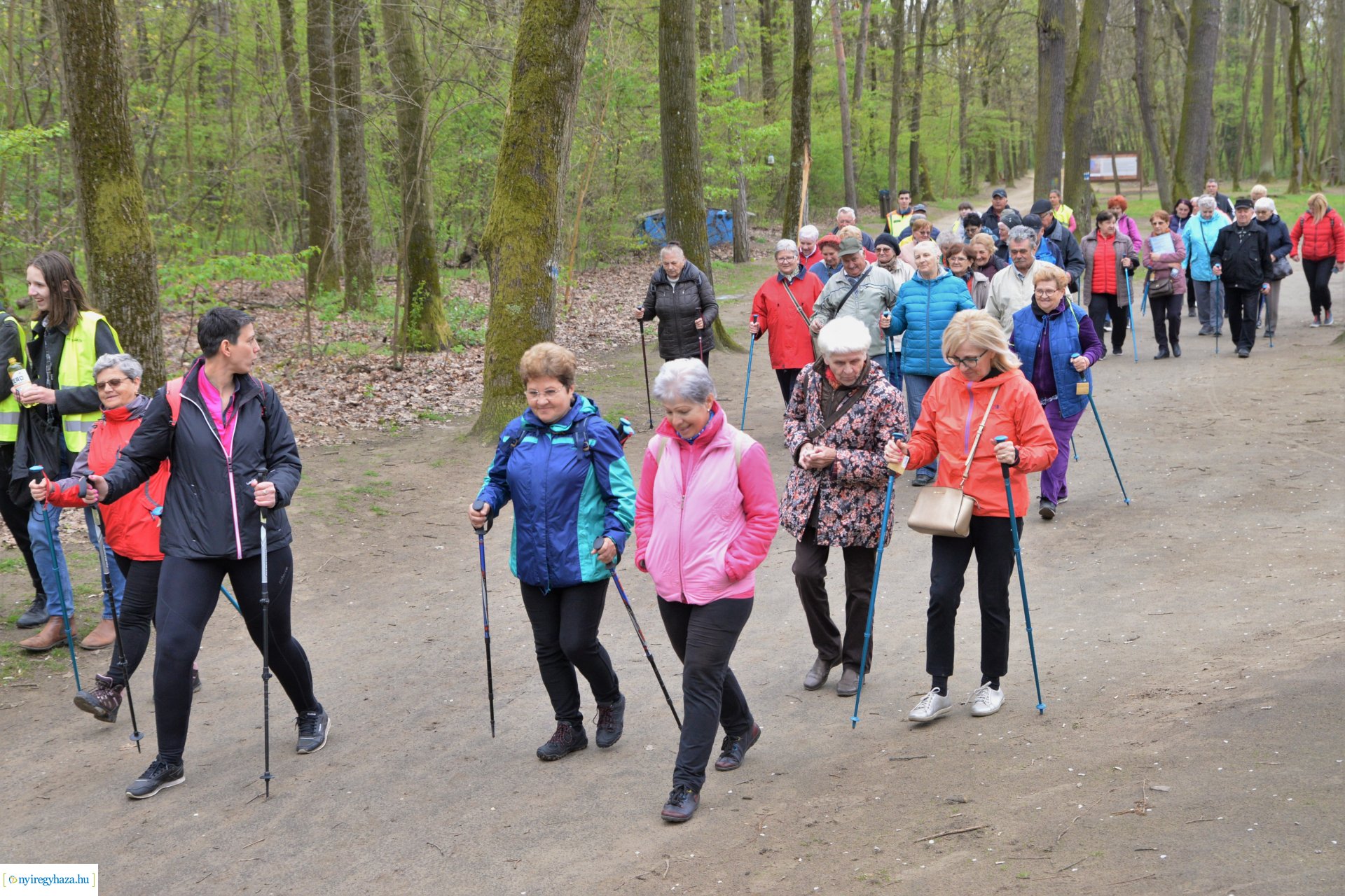 Sport és Élmény délelőtt az Erdei tornapályán
