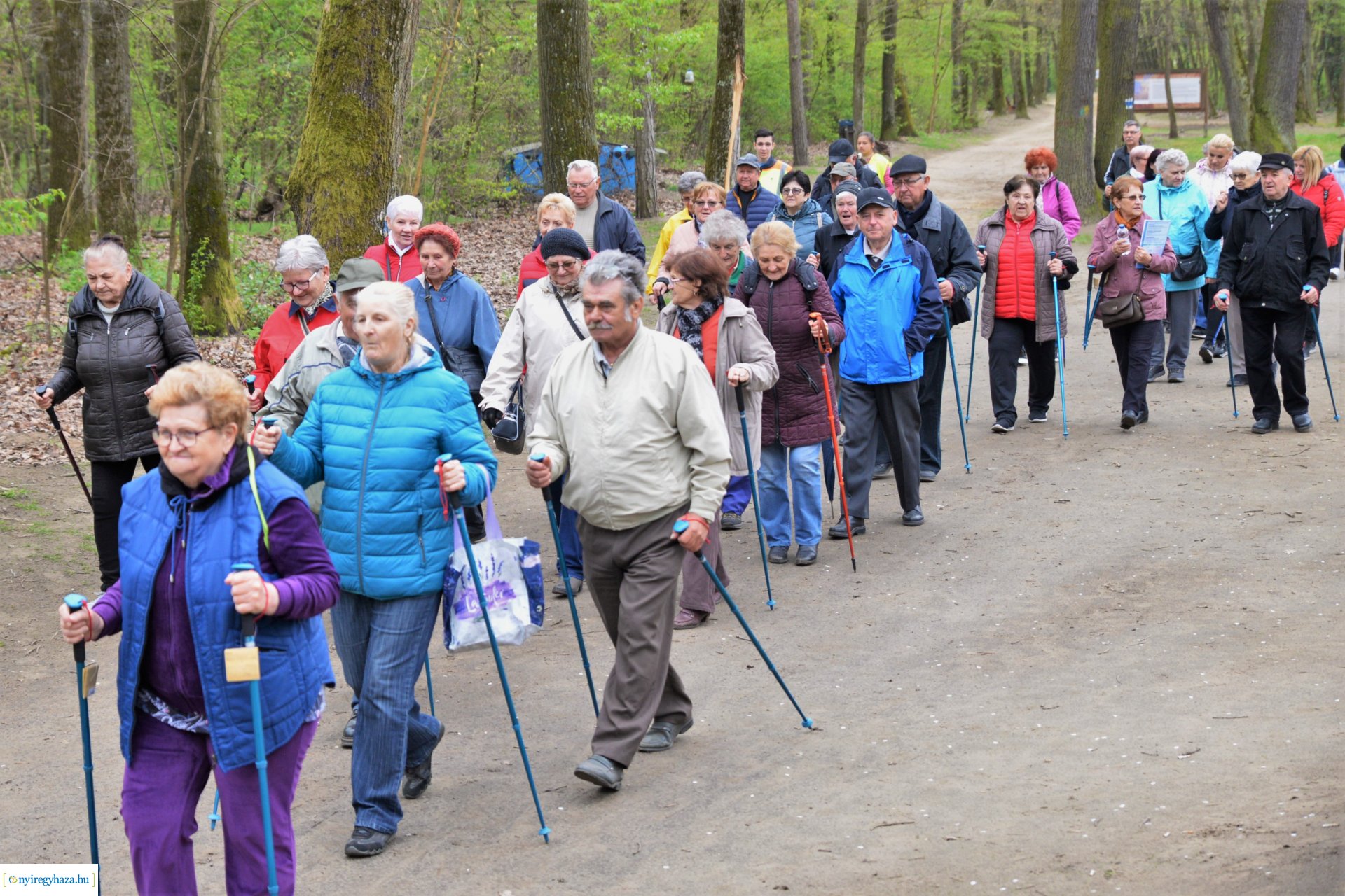 Sport és Élmény délelőtt az Erdei tornapályán