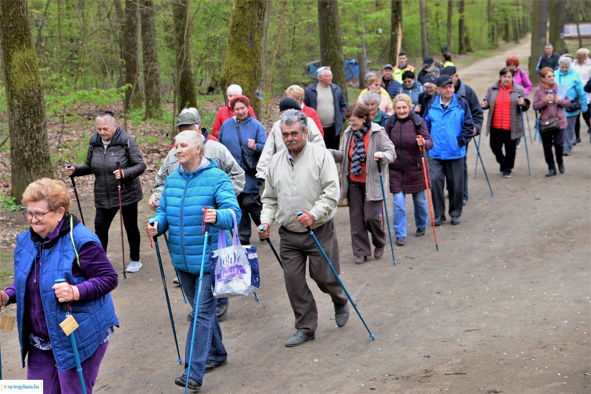 Sport és Élmény délelőtt az Erdei tornapályán