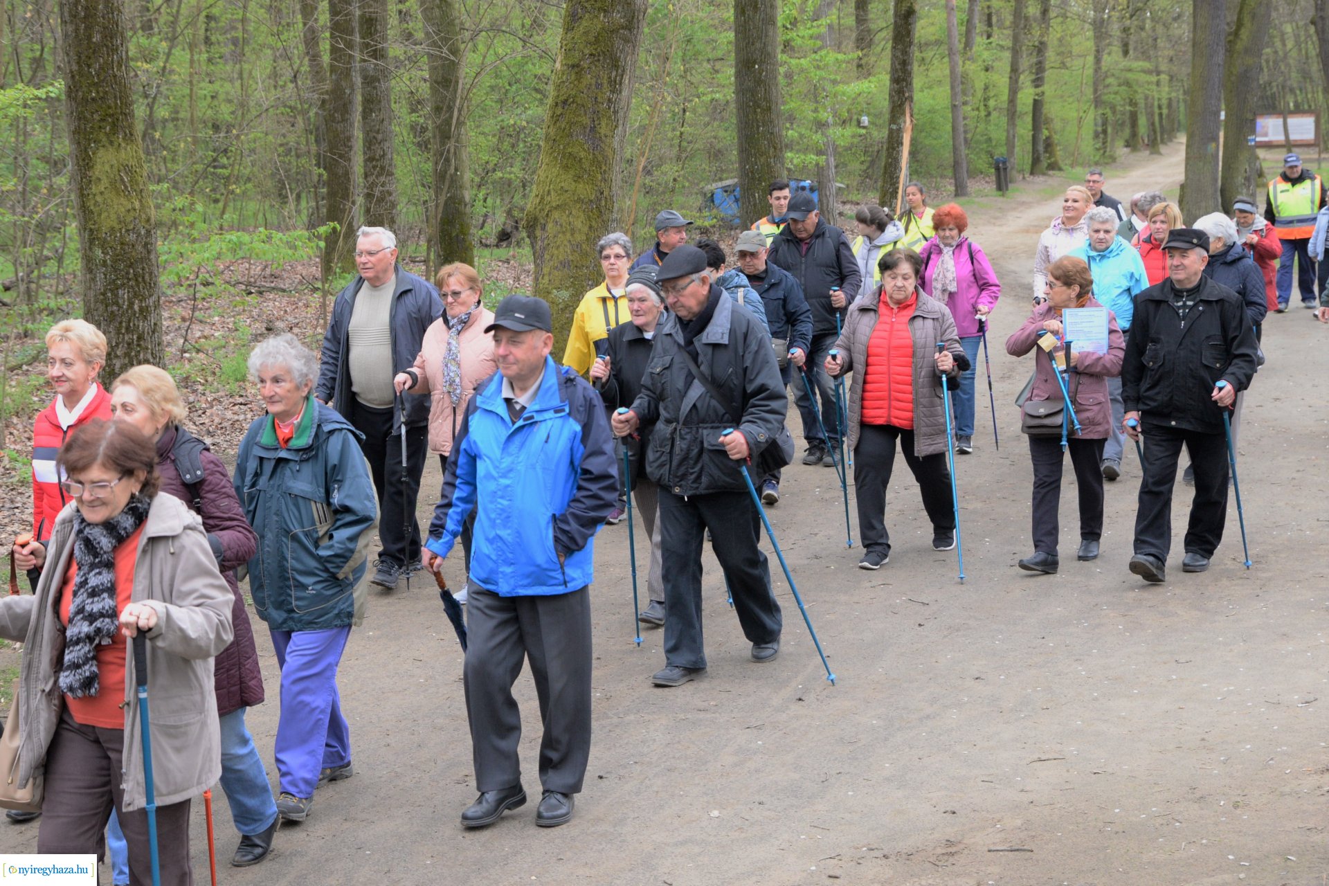 Sport és Élmény délelőtt az Erdei tornapályán
