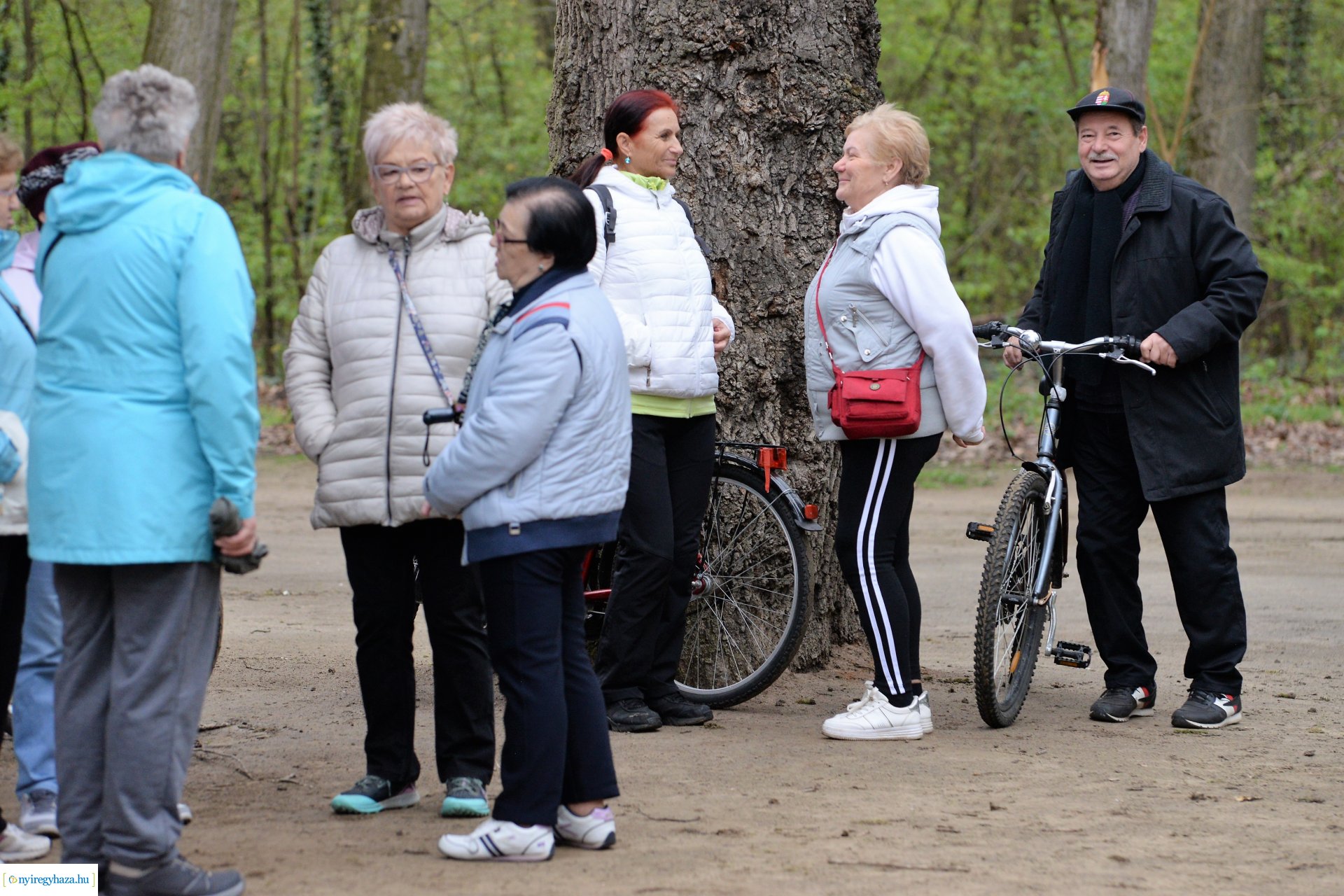 Sport és Élmény délelőtt az Erdei tornapályán