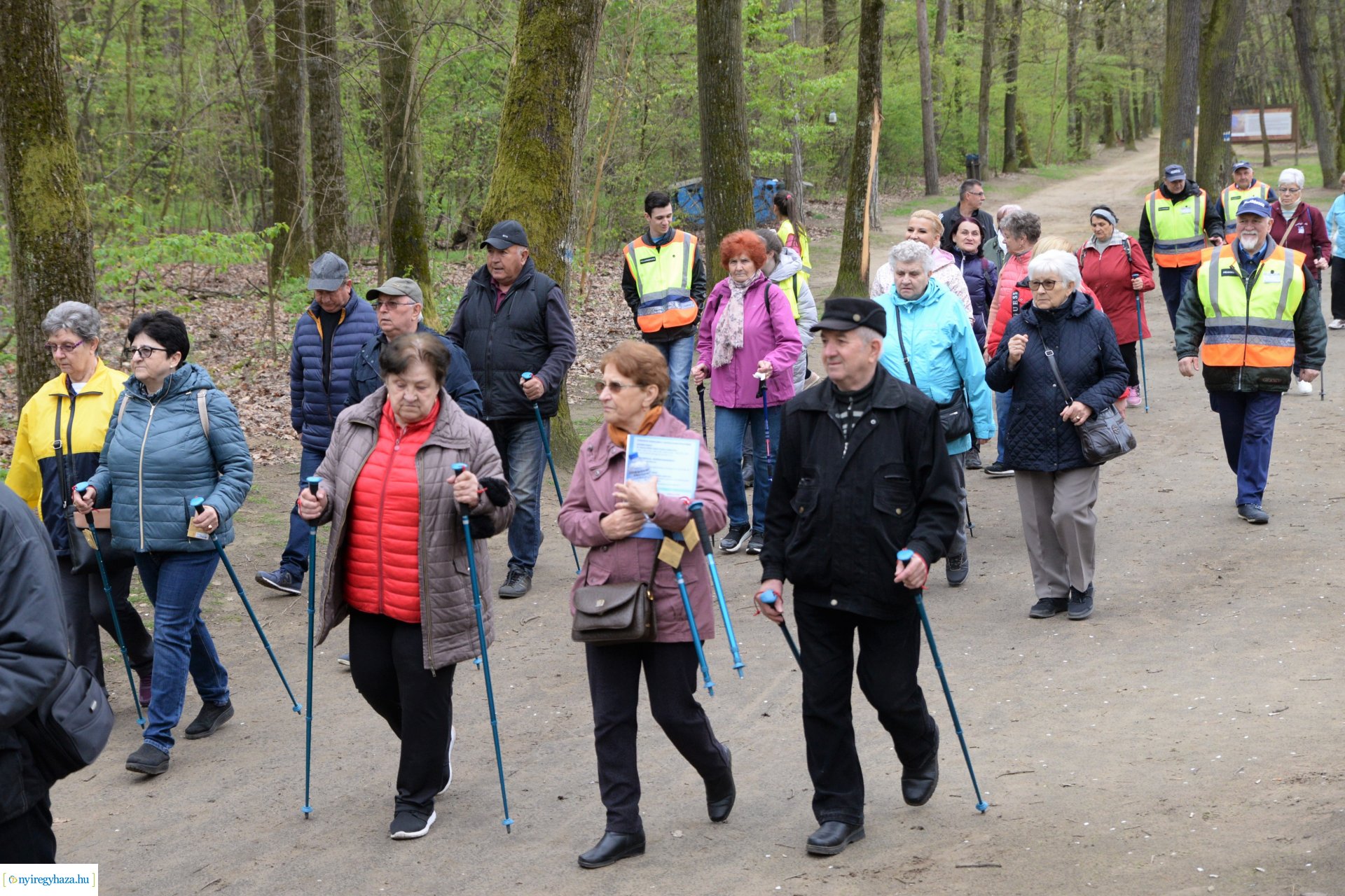 Sport és Élmény délelőtt az Erdei tornapályán