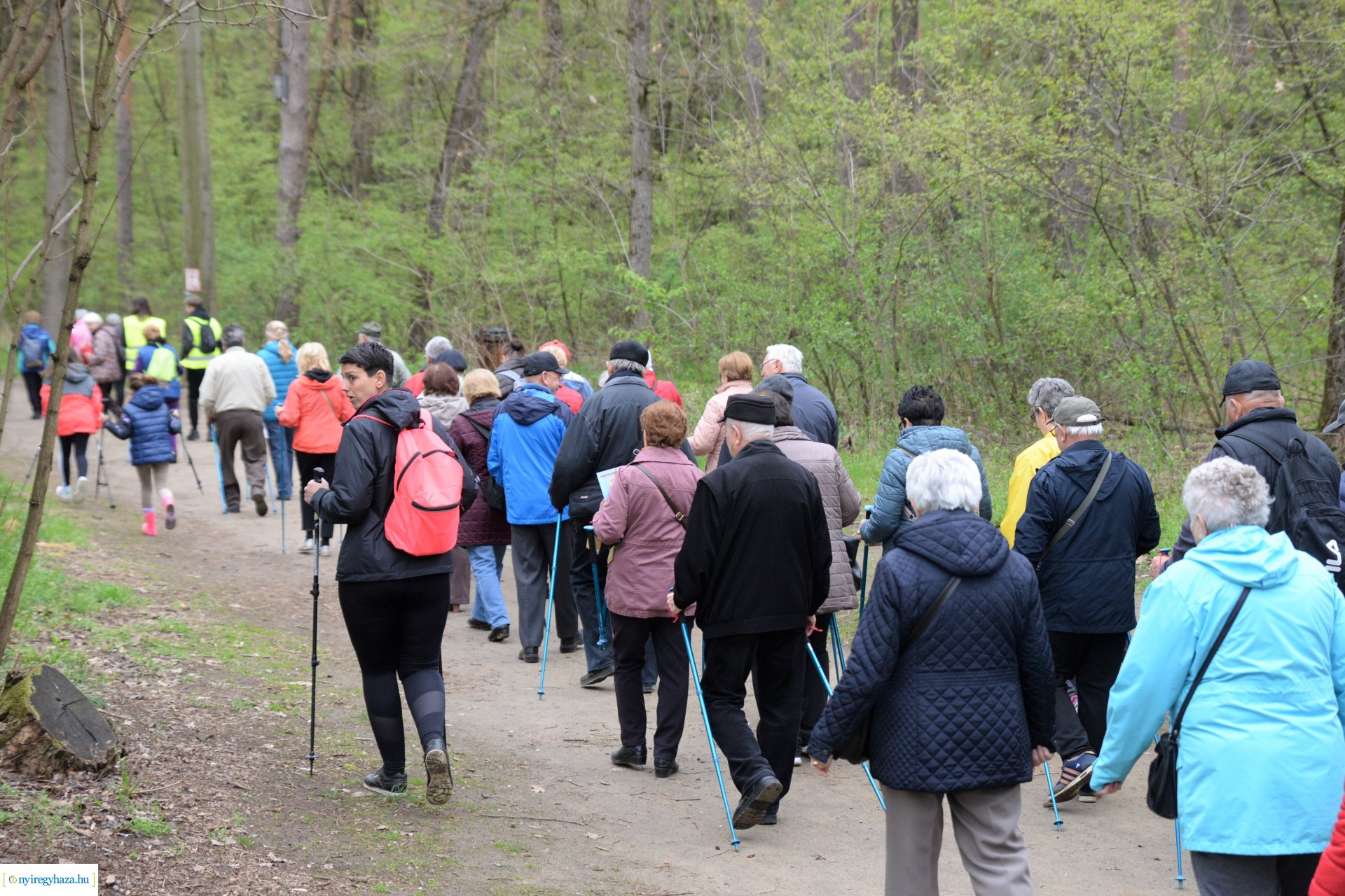 Sport és Élmény délelőtt az Erdei tornapályán