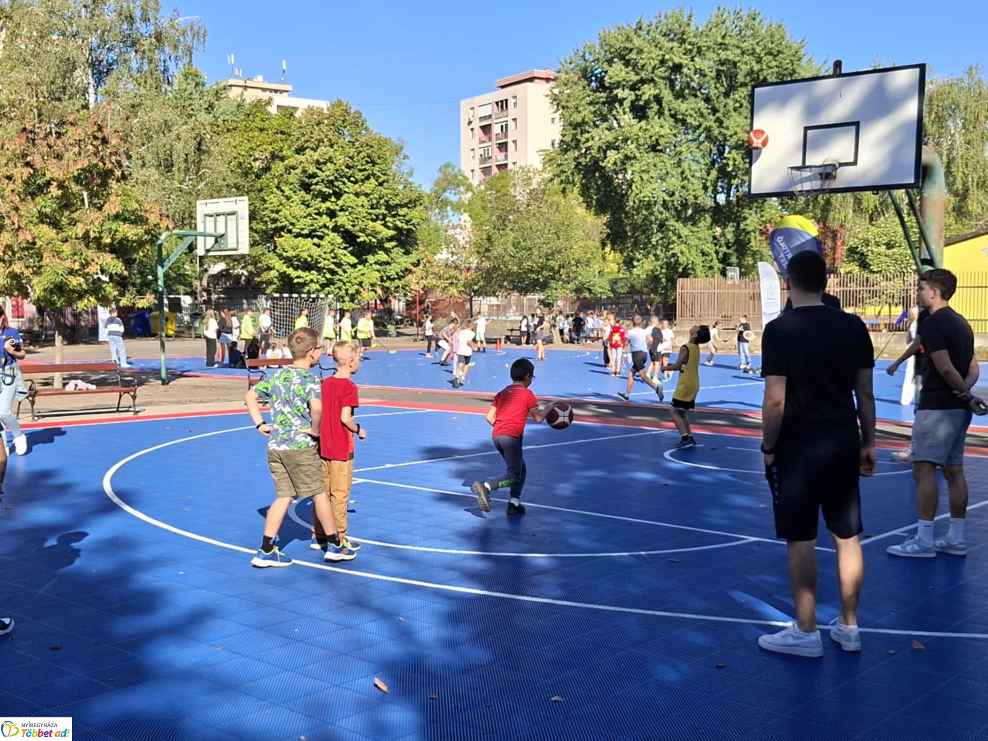 Sportágválasztó az Apáczaiban