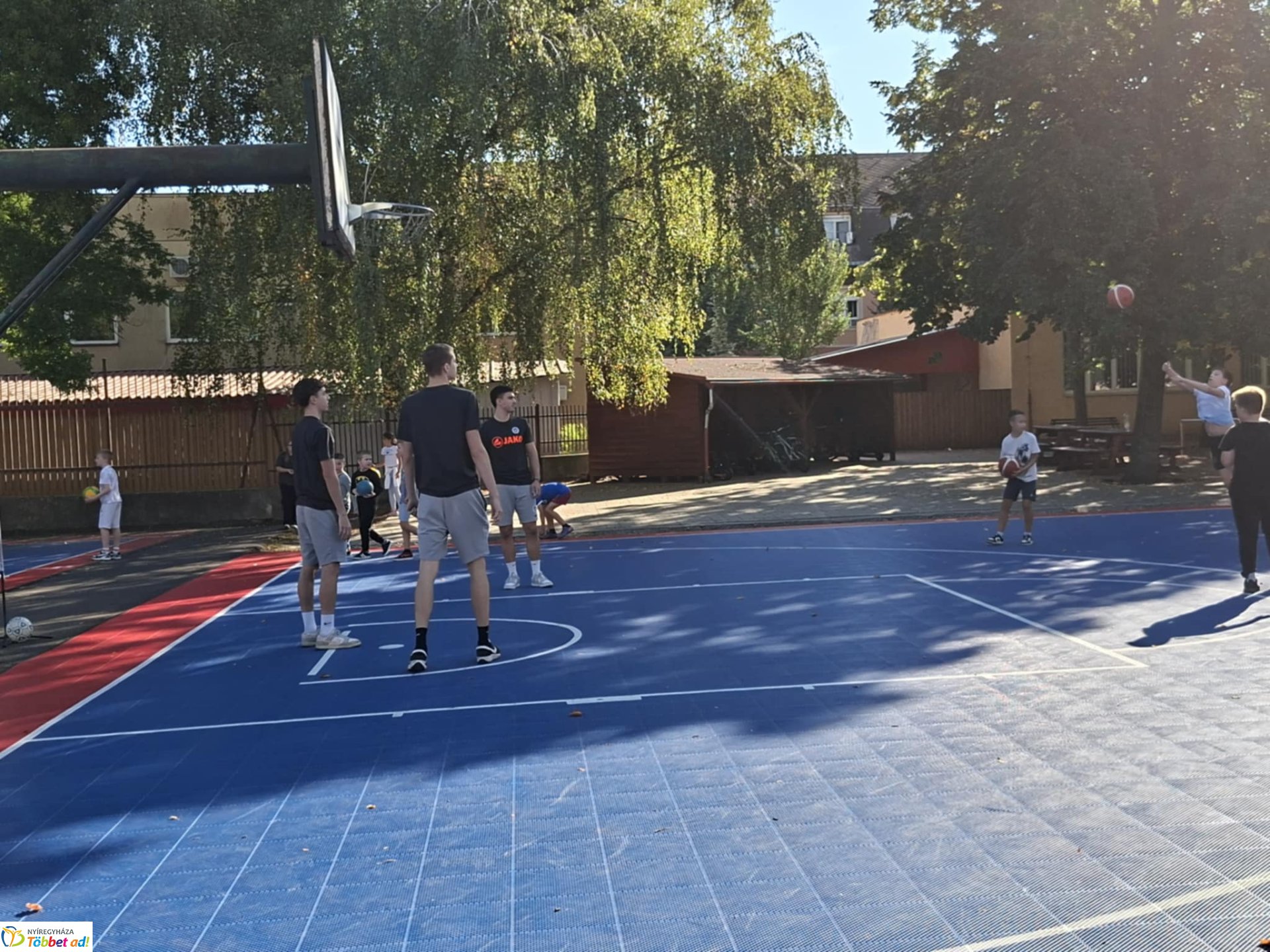 Sportágválasztó az Apáczaiban