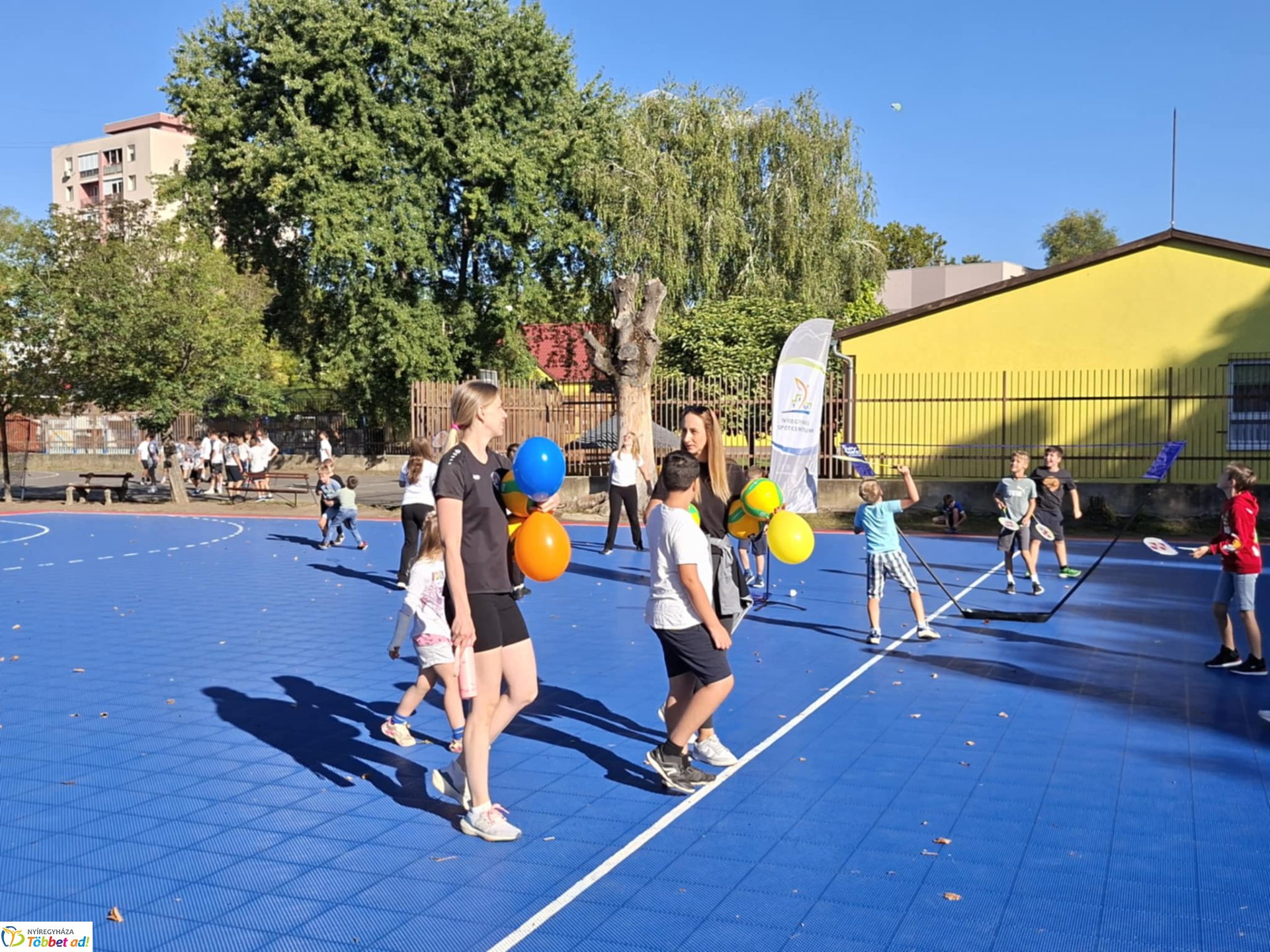 Sportágválasztó az Apáczaiban