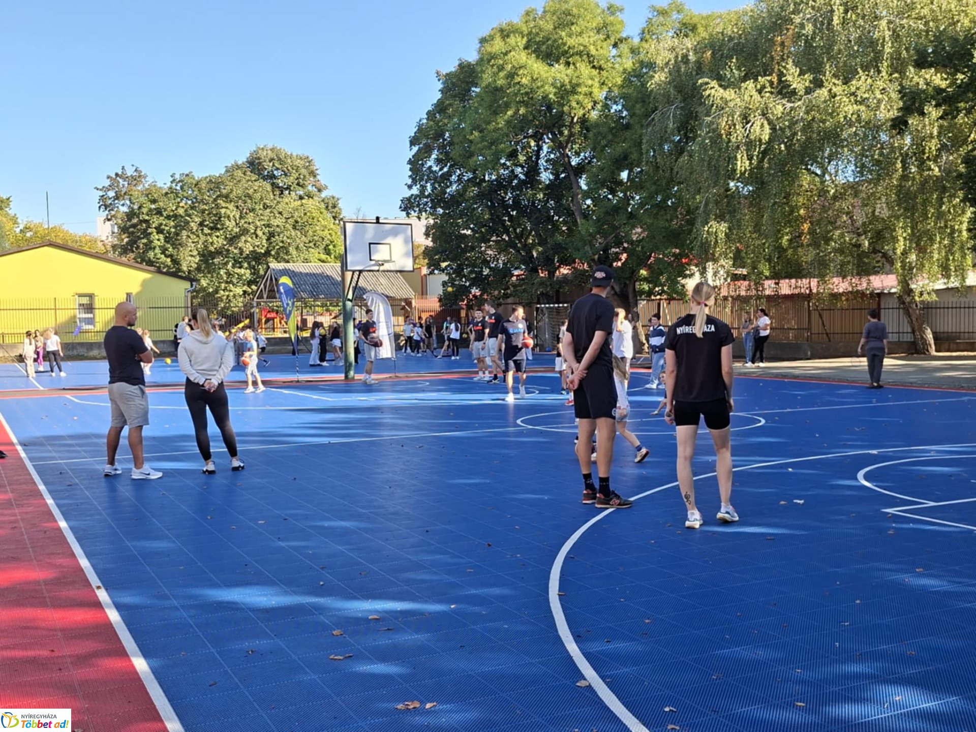 Sportágválasztó az Apáczaiban